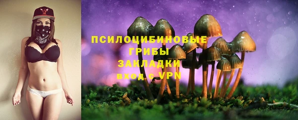 прущая мука Лабытнанги
