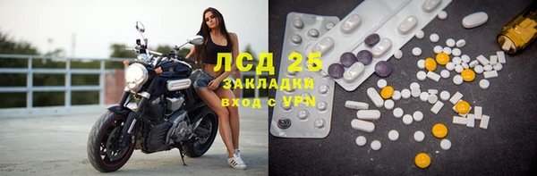 ГАЛЛЮЦИНОГЕННЫЕ ГРИБЫ Ладушкин
