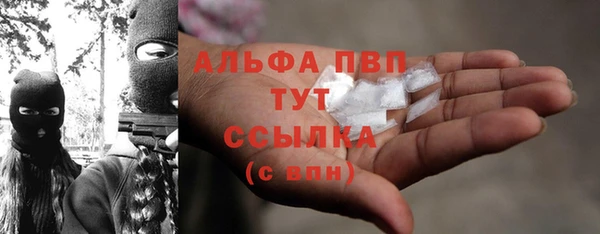 ГАЛЛЮЦИНОГЕННЫЕ ГРИБЫ Ладушкин