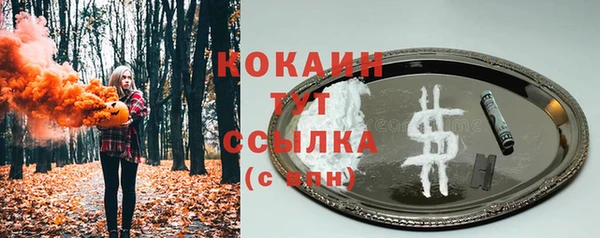 ГАЛЛЮЦИНОГЕННЫЕ ГРИБЫ Ладушкин