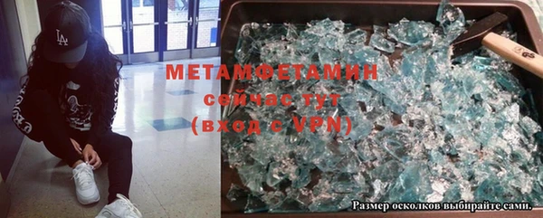 ГАЛЛЮЦИНОГЕННЫЕ ГРИБЫ Ладушкин