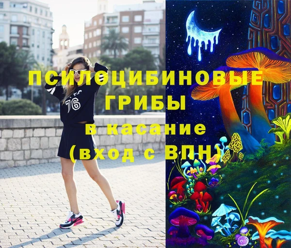 ГАЛЛЮЦИНОГЕННЫЕ ГРИБЫ Ладушкин